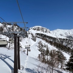 3/17(木)一緒に滑りませんか？🏂