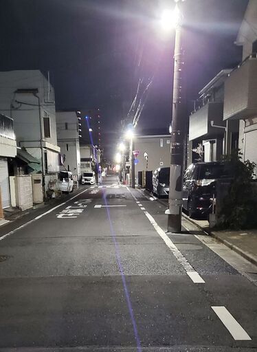 ★強力レーザーポインタ★アルミ合金削り出し製★害獣駆除等に！！★