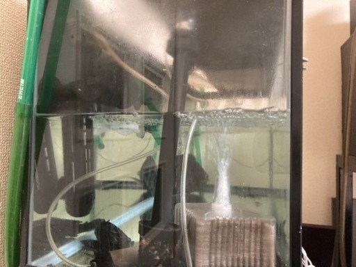 ガラス水槽 900×350×300 水槽台付き