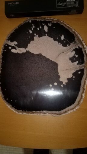 ヤシの木の化石