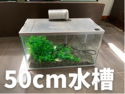 50cm水槽 底面フィルター 濾過器 あいしん 首里のその他の中古あげます 譲ります ジモティーで不用品の処分