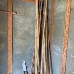 細長い竹　約2.5m