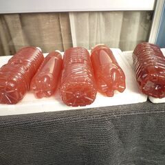 ★お話し中★メダカ他色々