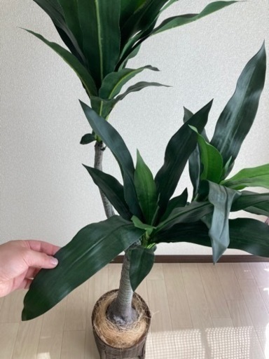 フェイクグリーン造花観葉植物 大型インテリア風水装飾 イリーム 小牧原のインテリア雑貨 小物 置物 オブジェ の中古あげます 譲ります ジモティーで不用品の処分 フェイクグリーン造花観葉植物 大型インテリア風水装飾 イリーム 小牧原のインテリア雑貨 小物 置物 オブジェ の中古あげます 譲ります ジモティーで不用品の処分