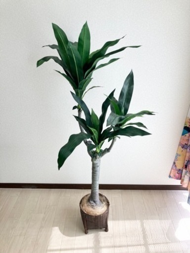フェイクグリーン造花観葉植物 大型インテリア風水装飾 イリーム 小牧原のインテリア雑貨 小物 置物 オブジェ の中古あげます 譲ります ジモティーで不用品の処分 フェイクグリーン造花観葉植物 大型インテリア風水装飾 イリーム 小牧原のインテリア雑貨 小物 置物 オブジェ の中古あげます 譲ります ジモティーで不用品の処分