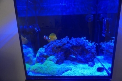 Red Sea レッドシーmax Nano水槽 ゆうしん 尼崎のその他の中古あげます 譲ります ジモティーで不用品の処分