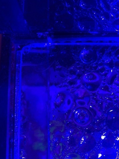 Red Sea レッドシー　MAX NANO水槽