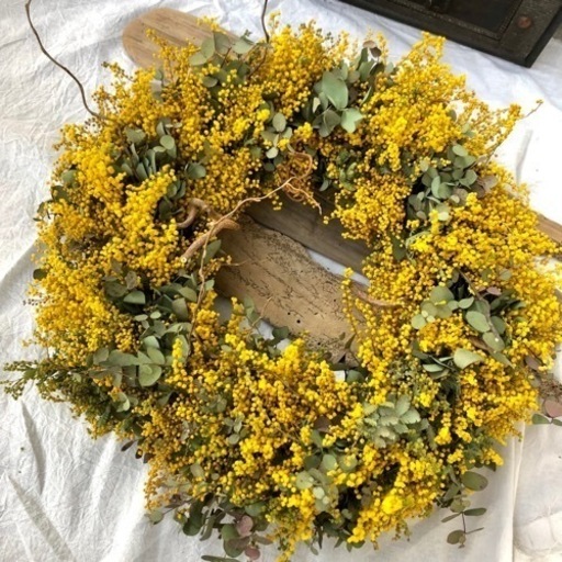 ミモザリースguj