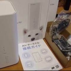 SoftBank Air ターミナル