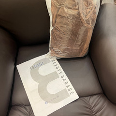 電動リクライニングソファー/電動ラウンジチェア　SHIFFON/ブラウン/アイラッシュ/ネイル