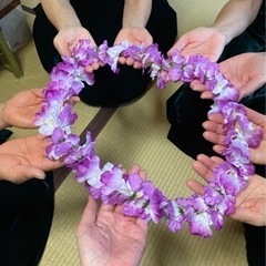 奈良県奈良市　フラダンス　ハワイアンフラ　サークルメンバー募集　初心者大歓迎の画像