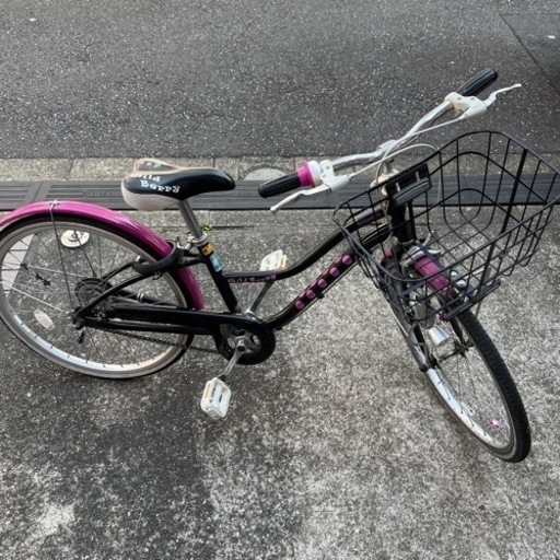 22インチ　ブリジストン 自転車　女の子　ワイルドベリー