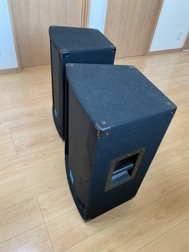 Peavey TLS 2X スピーカー2台1セット