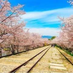 3月4月ピクニック🌸で春を感じよう✳︎ in鴨川デルタ&山科デルタ