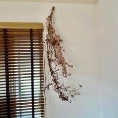￥0です！木の実と葉っぱの飾り ドライフラワー