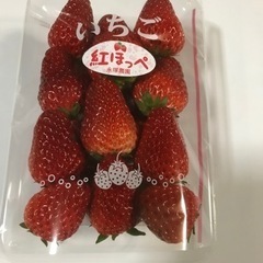 イチゴ直売　紅ほっぺ、とちおとめ　1パック¥400
