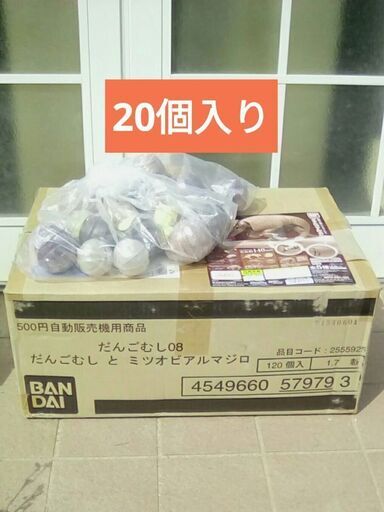 業務用のガチャガチャ商品　いきもの大図鑑　ミツオビアルマジロ　カプセル　20個