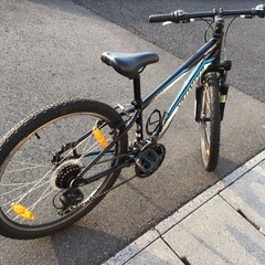 男の子用中古整備済24インチ
