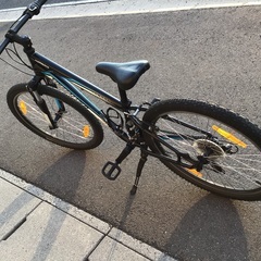 男の子用中古整備済24インチ