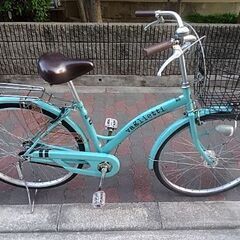 ブリジストン エコパルモカ 22インチ 自転車本体 Www Bloompsychologyservices Com