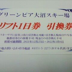 グリーンピア大沼スキー場　リフト券　１日券
