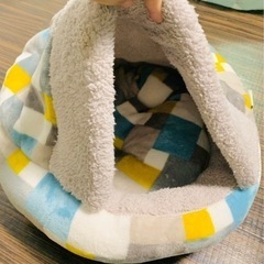 【決定】猫ベッド　アイリスオーヤマ製