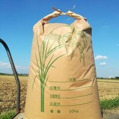 令和3年度産　減農薬栽培米　コシヒカリ　30キロ