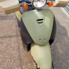 【期間限定値下げ】原付ホンダトゥデイAF67