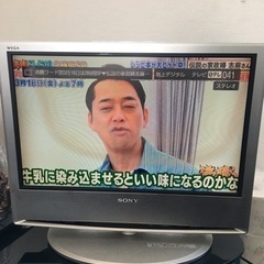 SONY テレビ　地デジ WEGA 液晶ベガ KDL-S19A1...