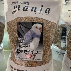 mania セキセイインコ専用　3L