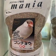 mania ブンチョウ専用　3ℓ