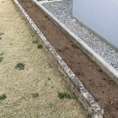 花壇の土　粘土質強め　土作りのベースに　diy 庭　ガーデニング