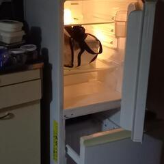 　冷蔵庫冷凍(大)　終了しました