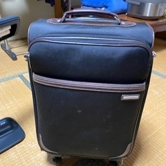 お掃除中 旅行カバン？