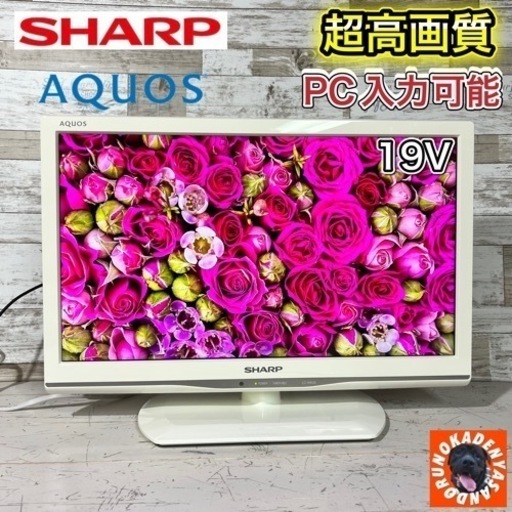【すぐ見れる‼️】SHARP AQUOS 液晶テレビ 19型✨ PC入力可能⭕️ 美品 配送無料