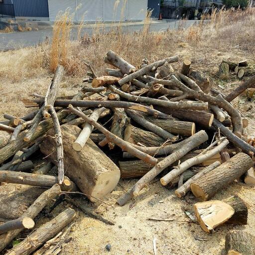 【数量限定】自分で薪割りしたい人向け！薪用原木！ 数量限定】自分で薪割りしたい人向け！薪用原木！