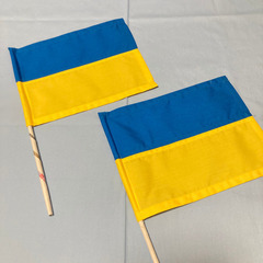 【ネット決済・配送可】ウクライナ国旗風　手旗　2P