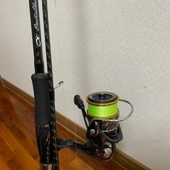 エギングロッド リールセット 最終値引き
