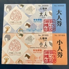 【決まりました】沖縄こどもの国チケット　２枚セット