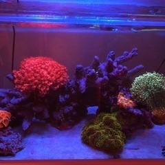 決まりました！。