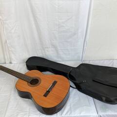 【決まりました】JT125(S)AKAGI GUITER アカギ...