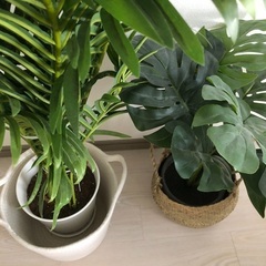2個セット　フェイクグリーン　観葉植物
