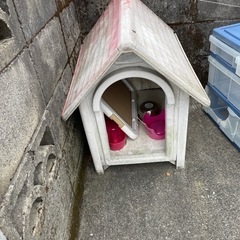 犬小屋