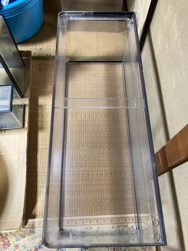 その他 金魚（水槽ハマナカアーツ）譲ります