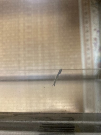 その他 金魚（水槽ハマナカアーツ）譲ります
