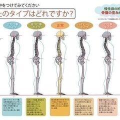 短期集中！！カイロプラクターセミナー３月生募集　急募