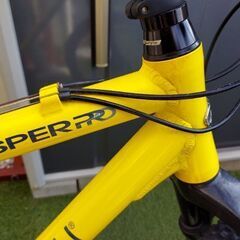 ルイガノLGS ｰXC ｰCASPER 　PRO  500mmイエロー