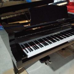 ありがとうございます。ヤマハグランドC7登場奥行223、2本ペダル只今売約済みになりました。