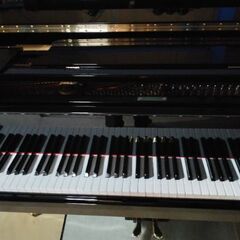 ありがとうございます。ヤマハグランドC7登場奥行223、2本ペダル只今売約済みになりました。