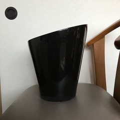 鉢　黒ツルツル　蘭